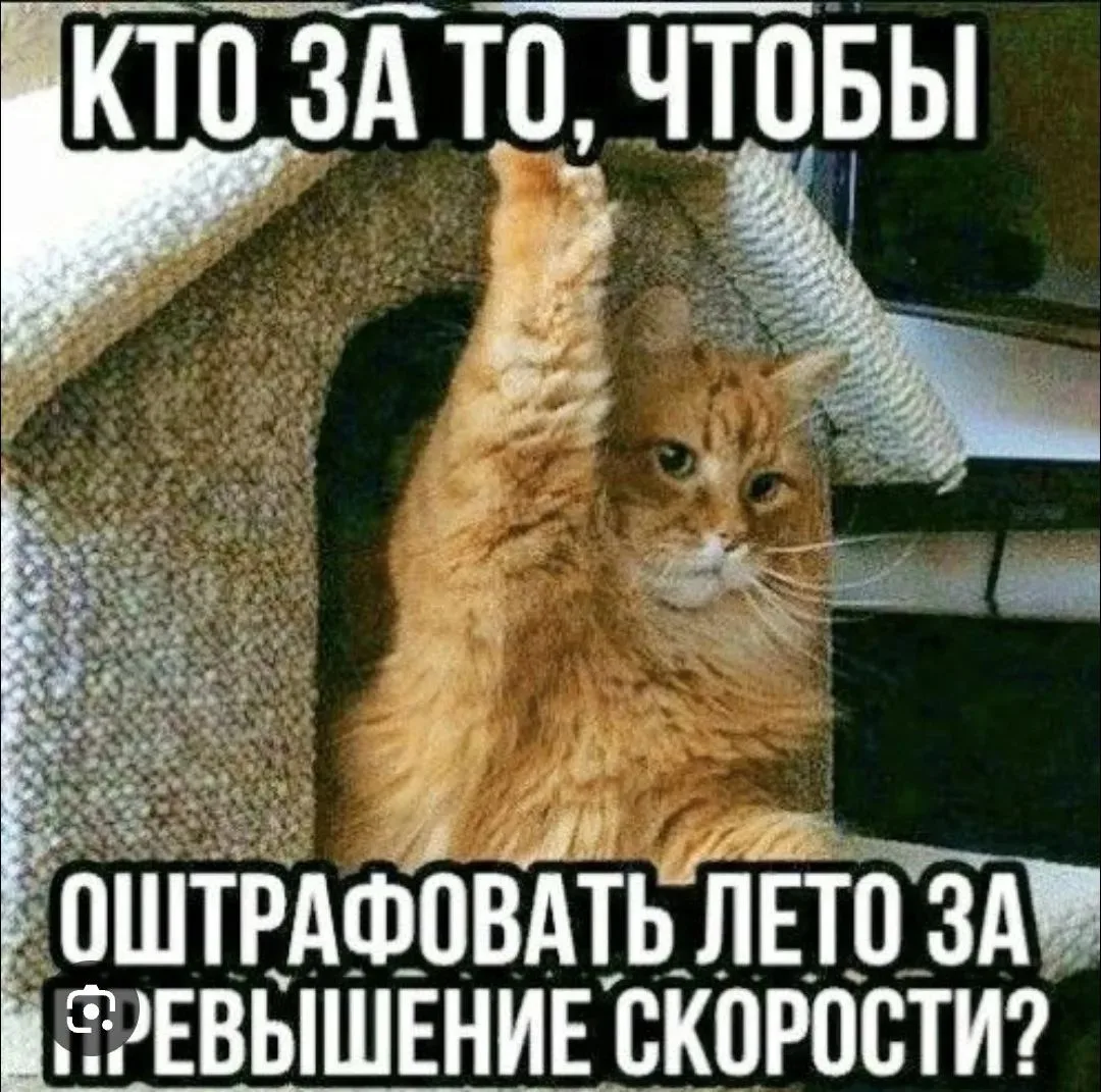 На ПроПси летние метафорические карты и вопросы к ним