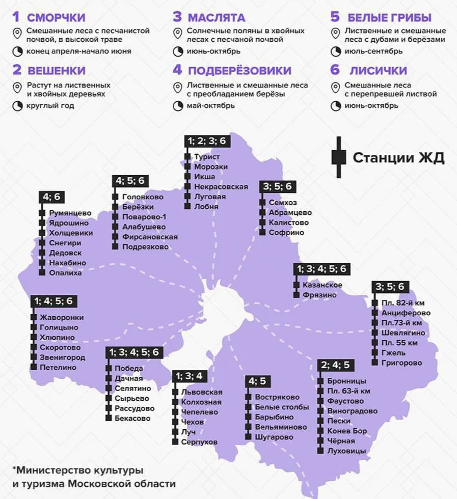 🍄‍🟫 Опубликована карта всех грибных мест Подмосковья