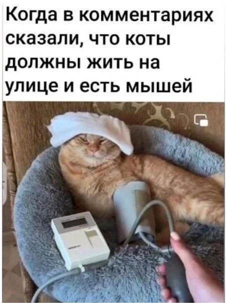 🤣 #юмор

🎉Календарные праздники🎉