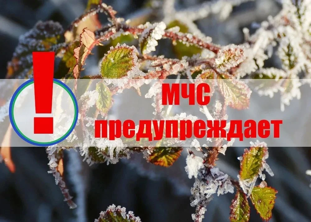 ❄️ Внимание: 24 сентября в ЕАО ожидаются заморозки