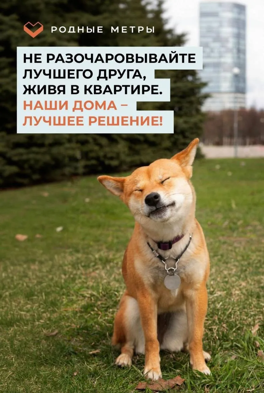 😱 Квартиры теряют популярность. В тренде загородные дома!