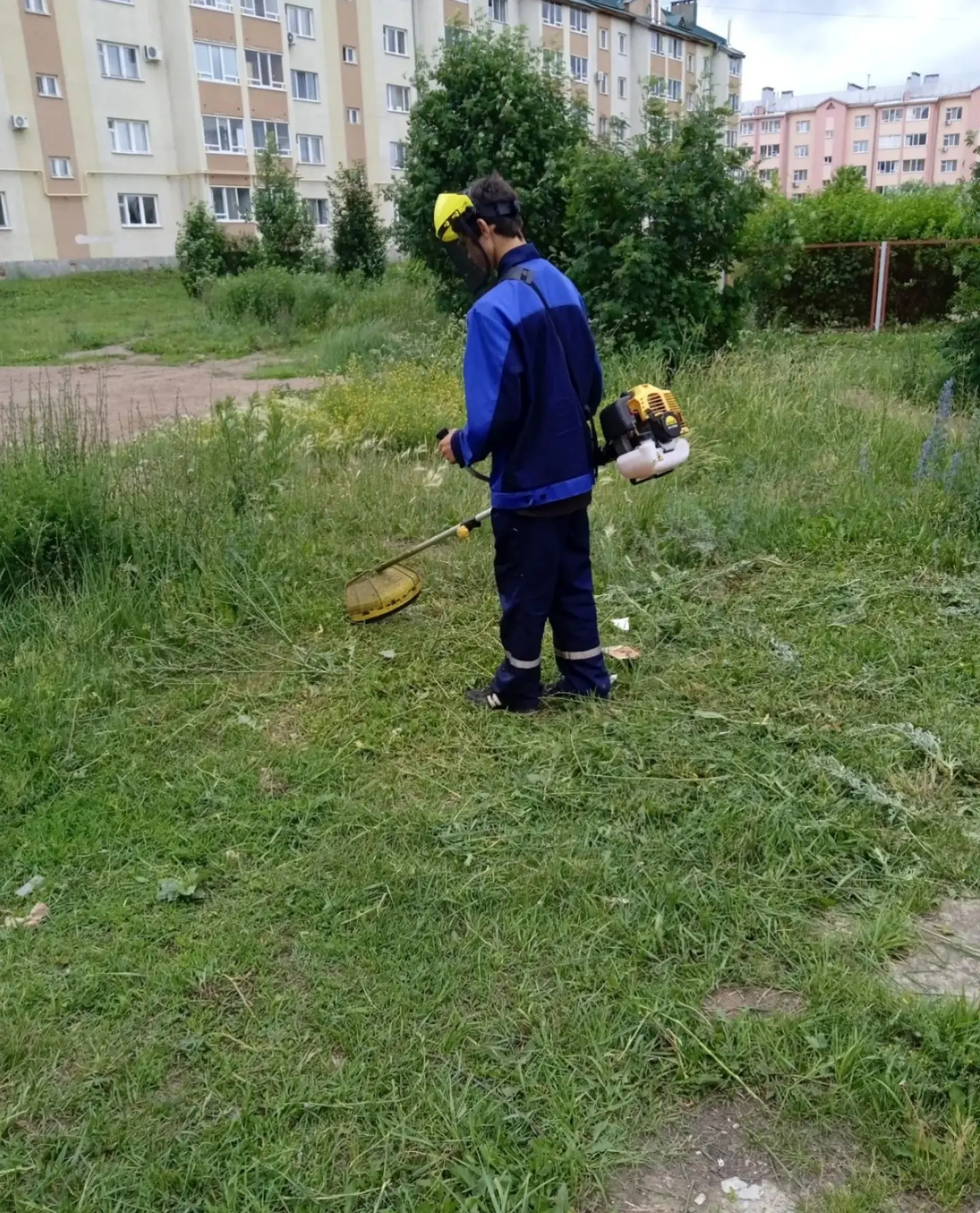 Зелёно, аккуратно, уютно — покос травы идёт полным ходом!