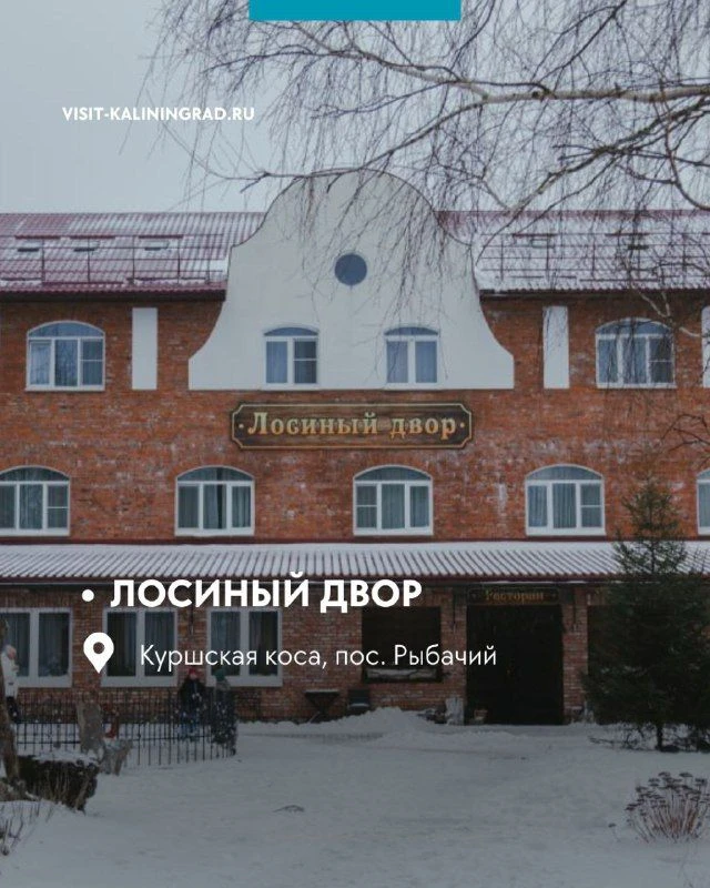 Отели и гостевые дома для зимней перезагрузки: что может быть лучше, чем красивая приро...