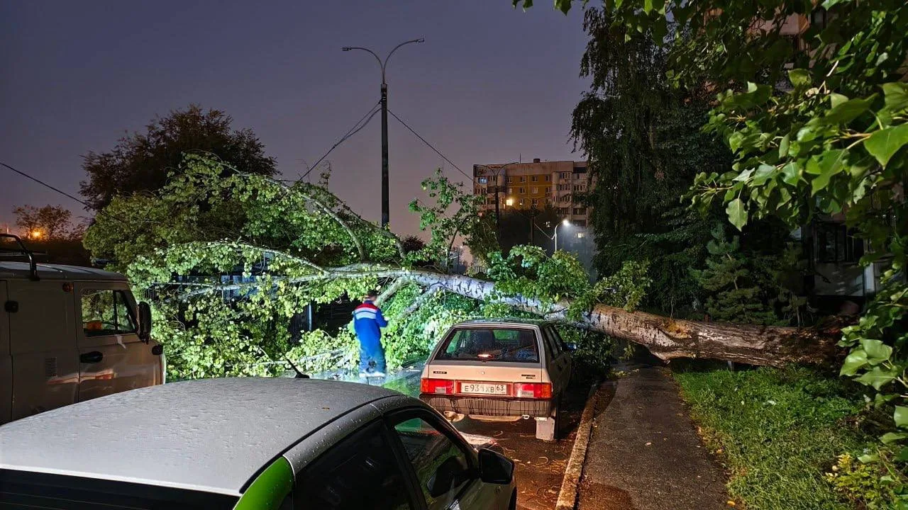 🌳 Ночью на Егорова, 28 рухнуло дерево