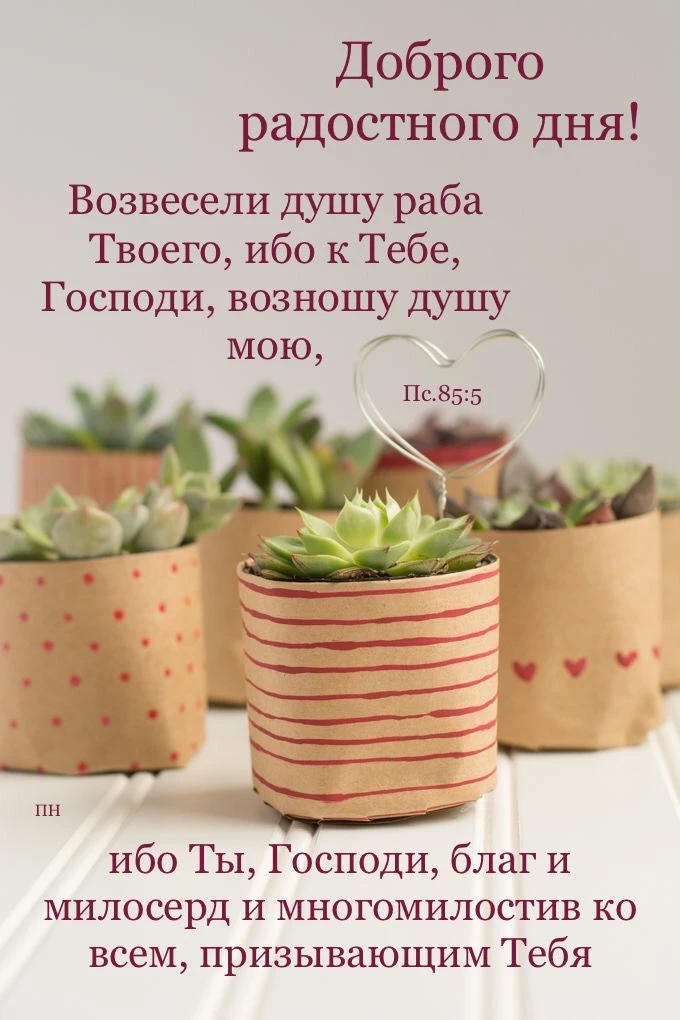 👉 Наши каналы. Подписаться.