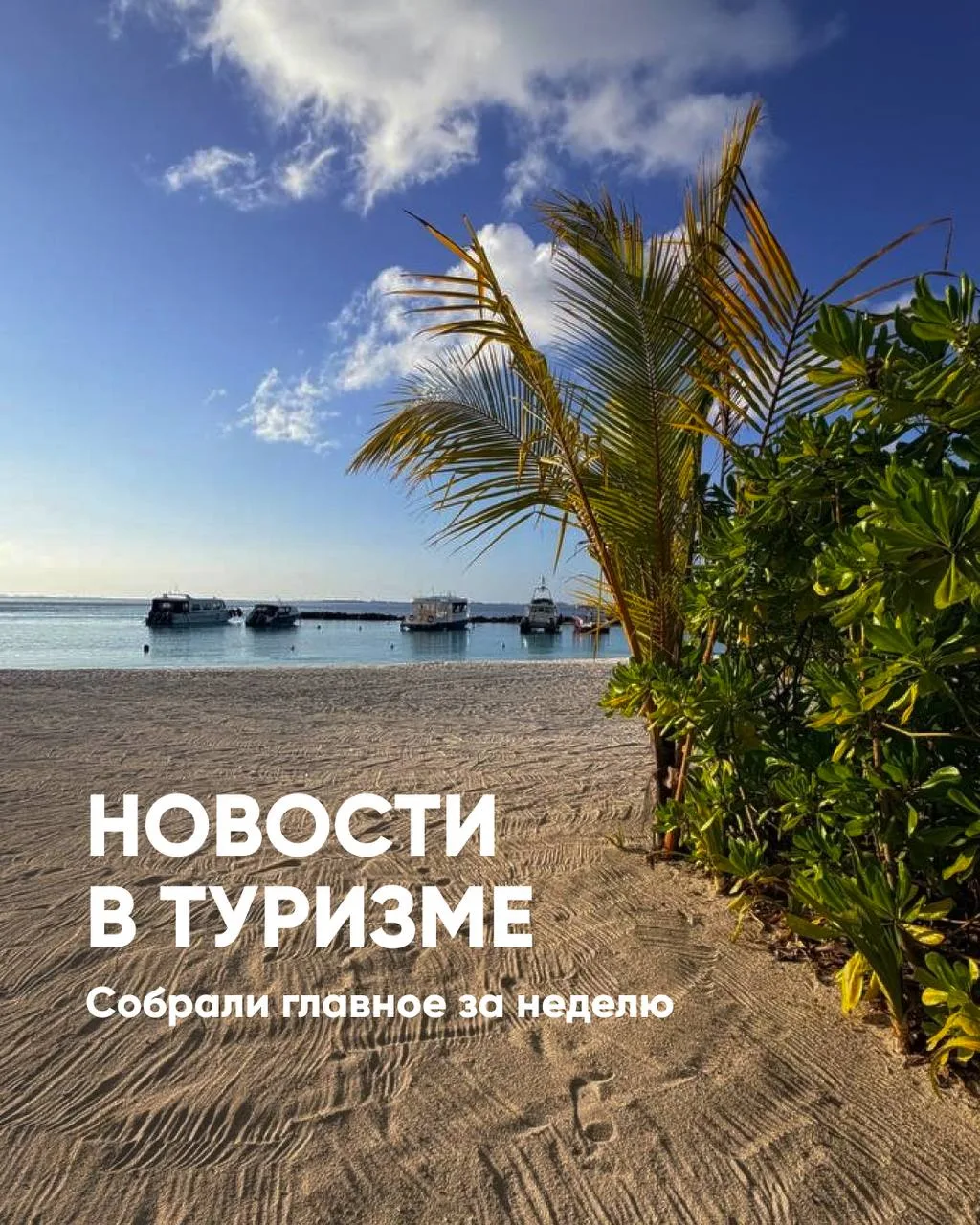 Новости в туризме☺️