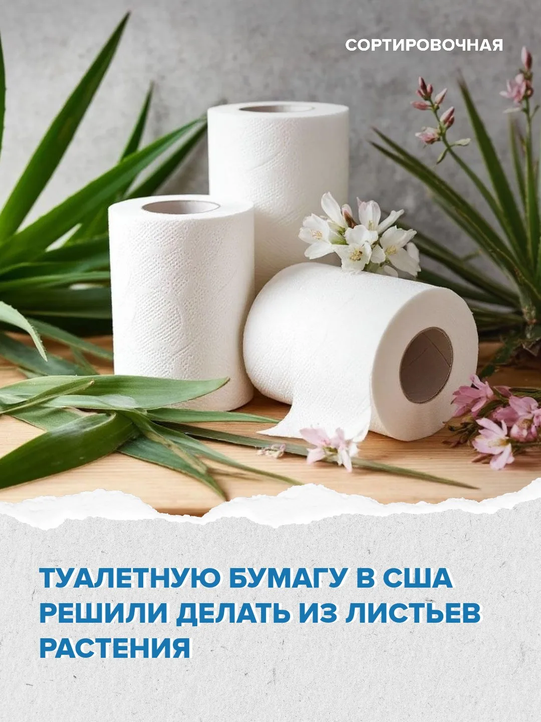 💡Одна из американских компаний, продукция которой представлена и на российском рынке, нашла замену 