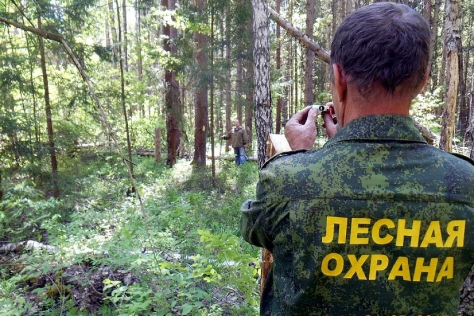 ❗️ С 2026 года вступили в силу изменения в сфере государственного контроля (надзора) и ...