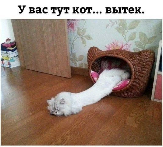 Хиханьки Да Хаханьки • подписаться
