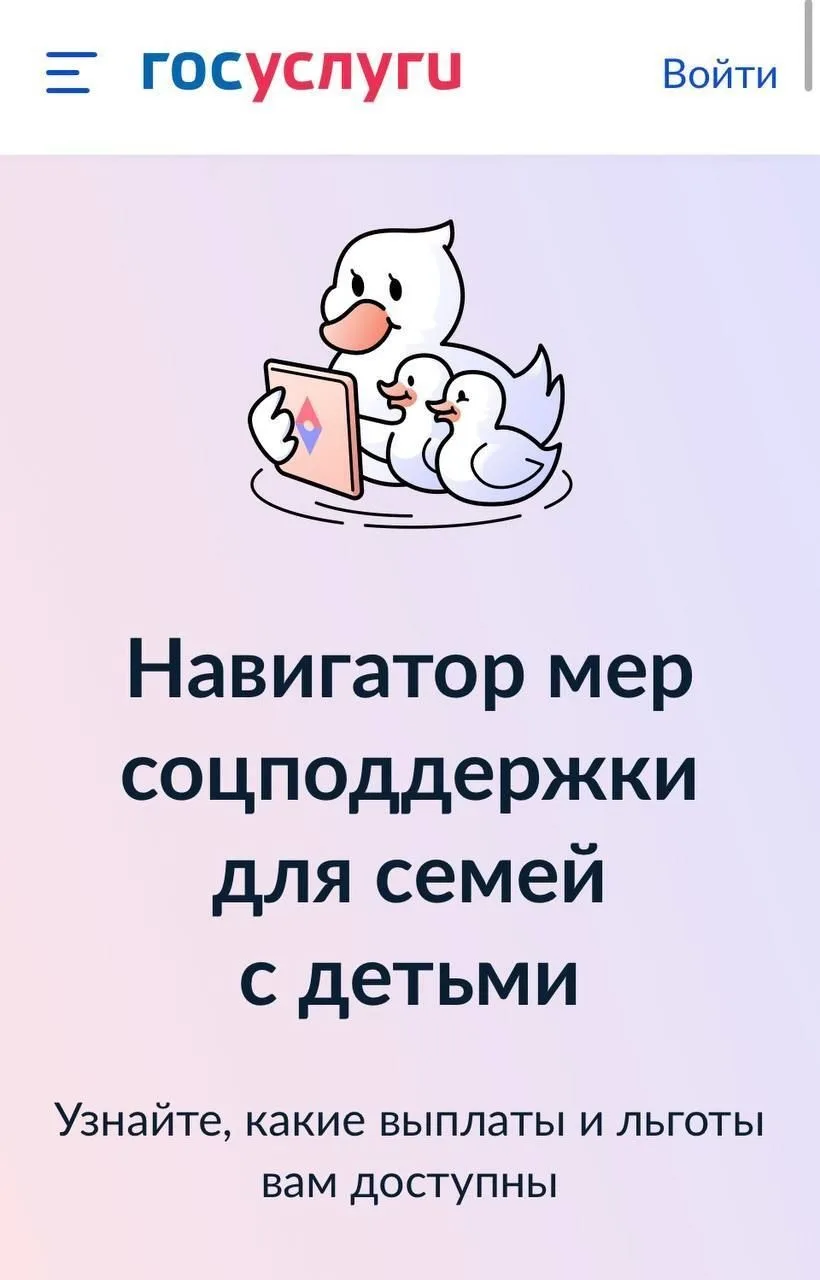 На портале госуслуг запустили новый сервис "Планирование и рождение ребенка".