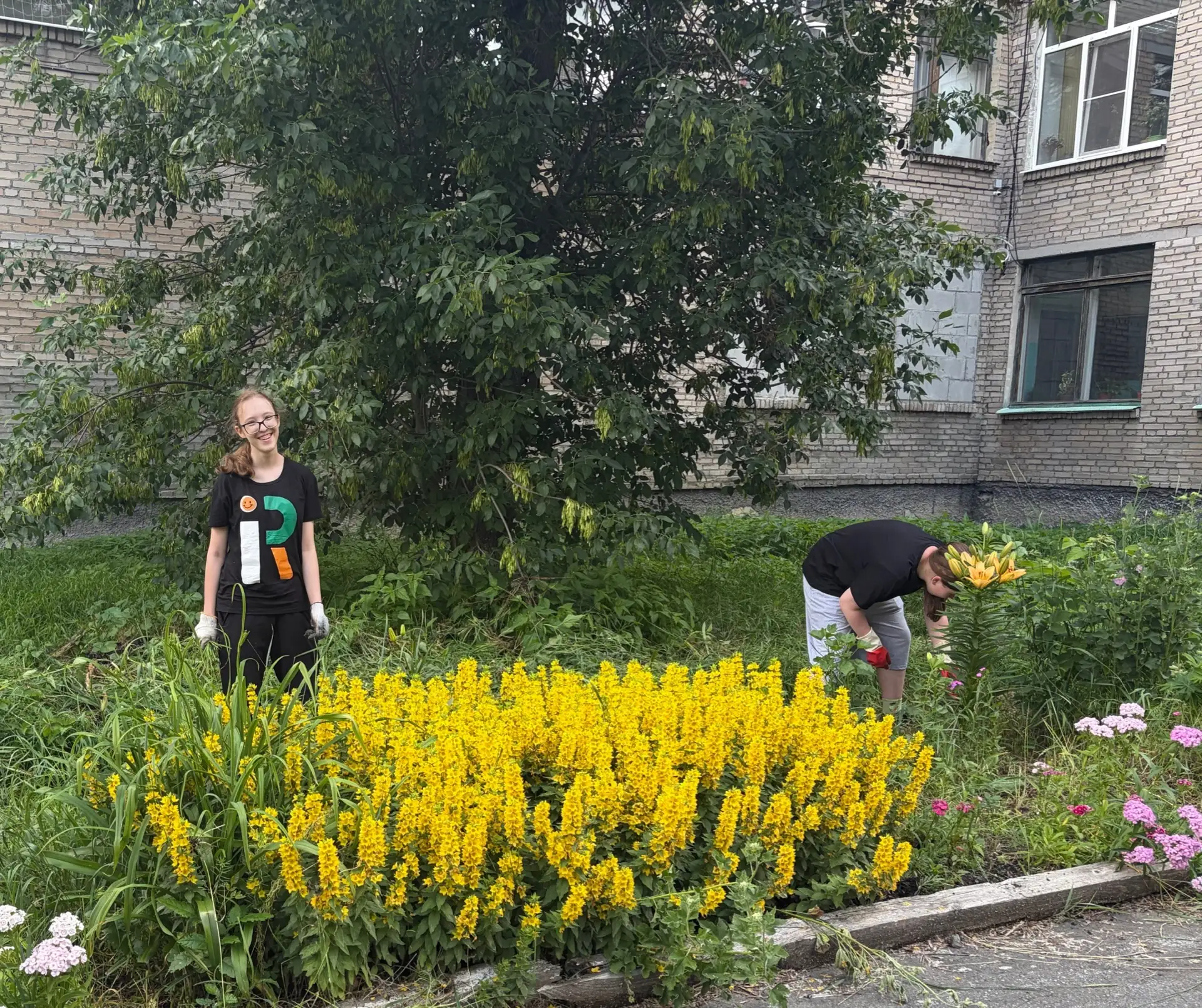 Работа по благоустройству пришкольной территории продолжается! 🌿

Сегодня наш трудовой отряд привёл