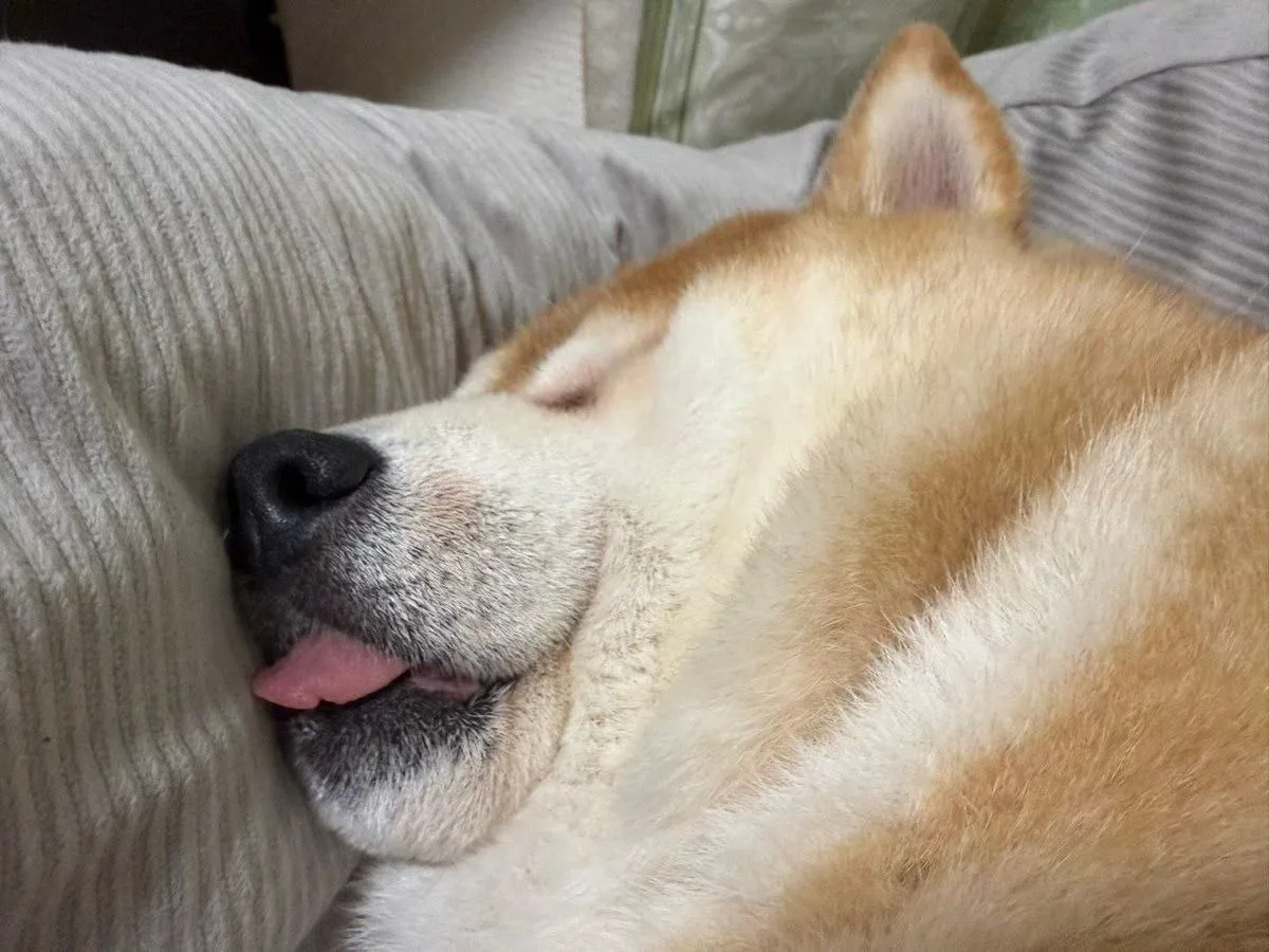 Сильно ему не завидуйте...