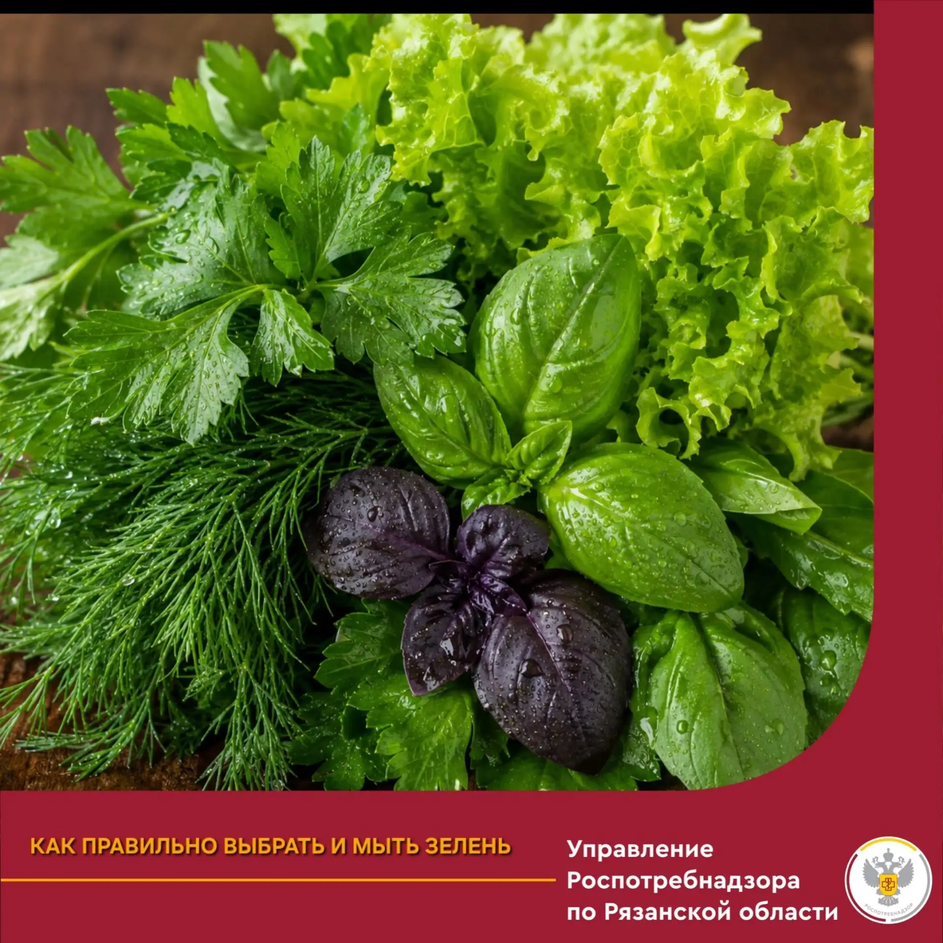 🥬Витамины K, C, магний и омега-3 — это суперполезно. Но чтобы всё это усвоилось, зелень нужно не то