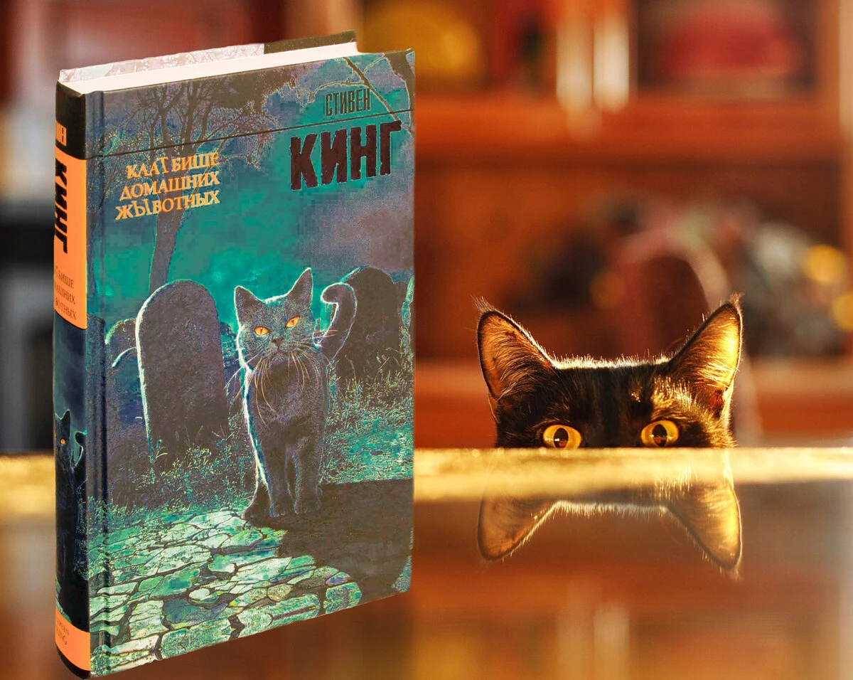 Встреча книжного клуба: «Кладбище домашних животных» Стивена Кинга 🐈‍⬛
