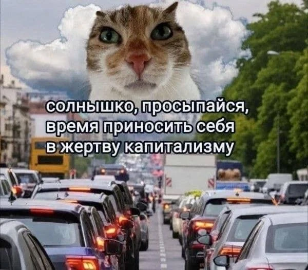 Вот такое вот доброе утро! ❤️ 💋

Извините МАХ 🙏

Извините ТГ ✅

ЧАТ канала 💭💬