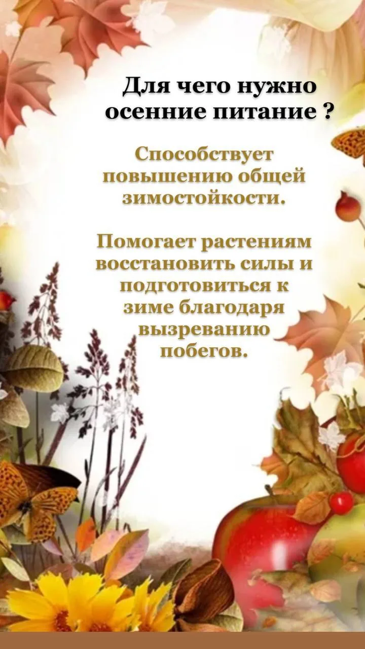 Наши слайды удобны для ознакомления и отвечают на все Ваши вопросы 🥰