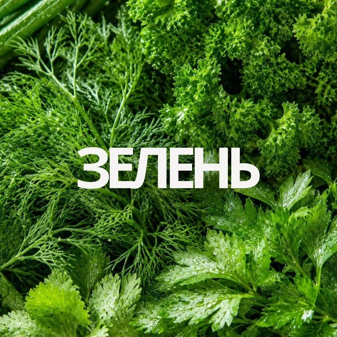 Сочная петрушка, ароматный укроп, зелёный лук и кинза делают еду ярче, свежее и вкуснее...