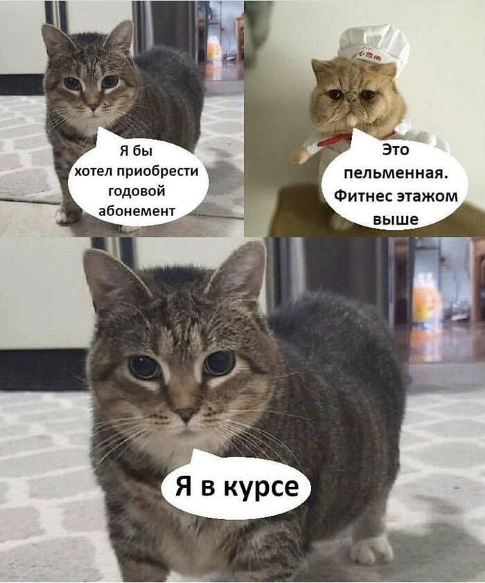 Почему надо дружить со спортом?  Мышцы это ваша «пенсия здоровья».   Не вкладывались? процент не кап