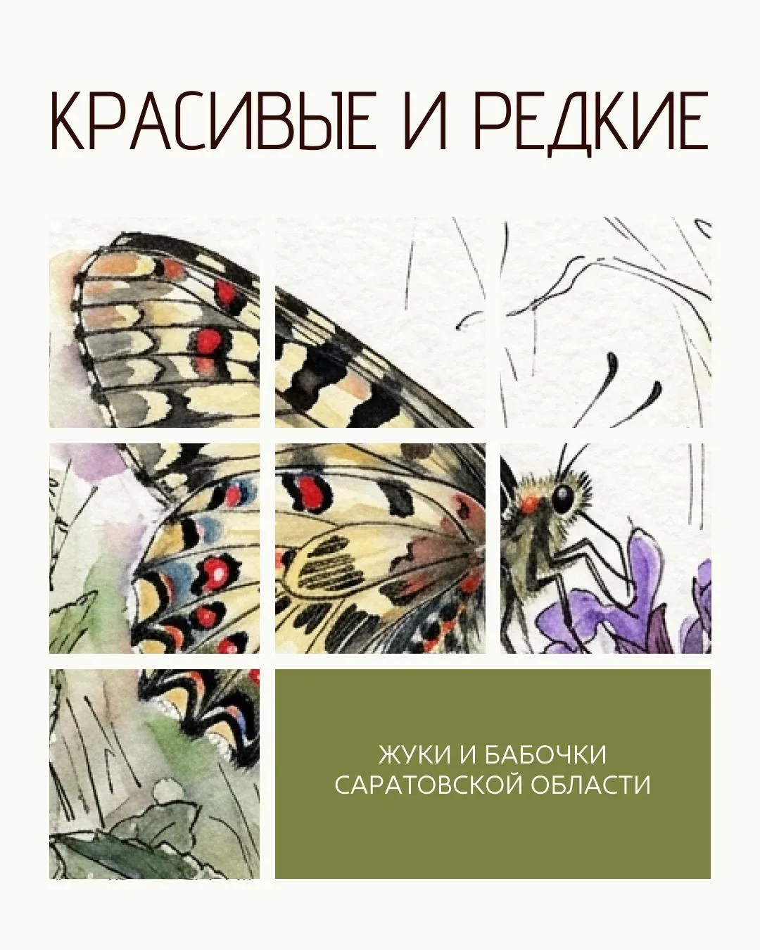 Красивые и редкие