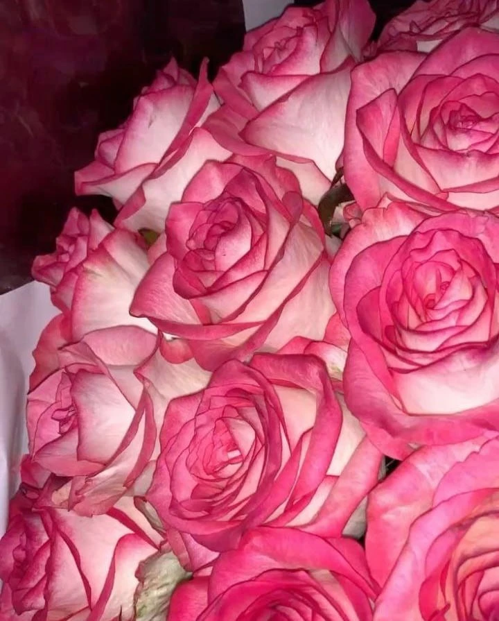 🌹 Худшие «соседи» для роз