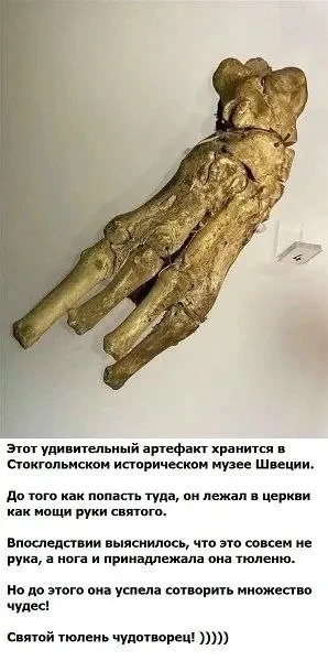 Этот парень был из тех, кто просто любит жизнь! Но парень просто не был знаком с ногой ...