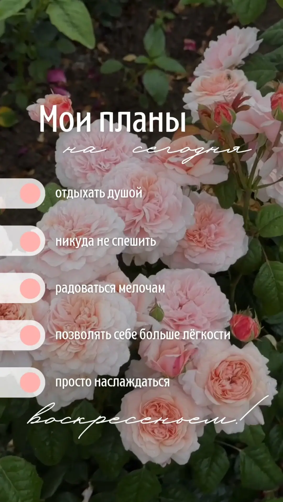 #воскресенье