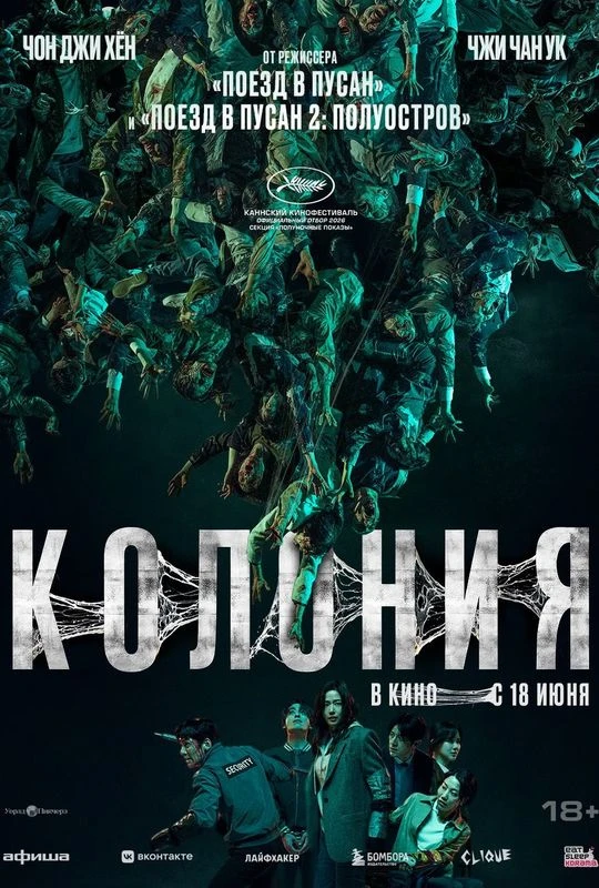 На что сходить в кино — обзор премьер в зеленоградских кинотеатрах

«Колония» (18+) 👇

В широко