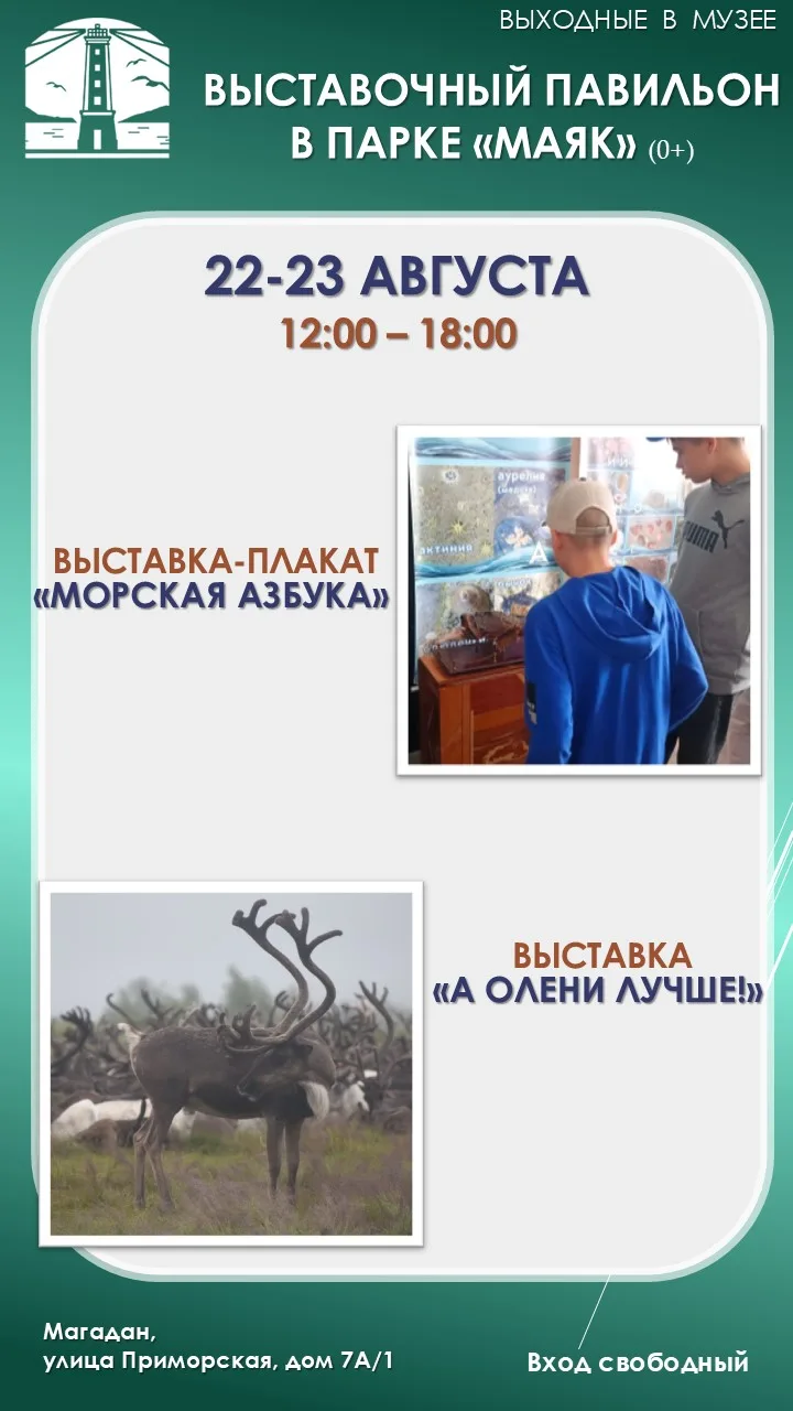 ⚡В субботу и воскресенье, 22 и 23 августа, с 12 до 18 часов работает выставочный павиль...