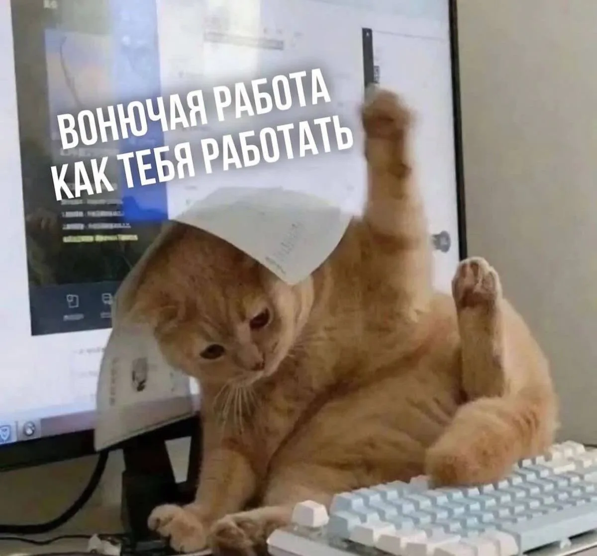 🧑‍💻 День трудяги отмечается сегодня

Поздравьте уставших работяг