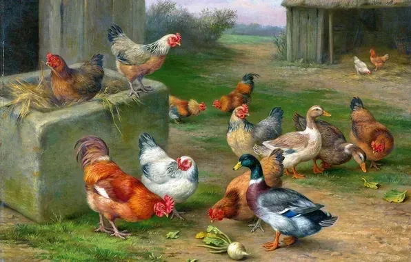 🐣 Маркировка и учет сельскохозяйственных птиц в 2026 году: что важно знать владельцам ...