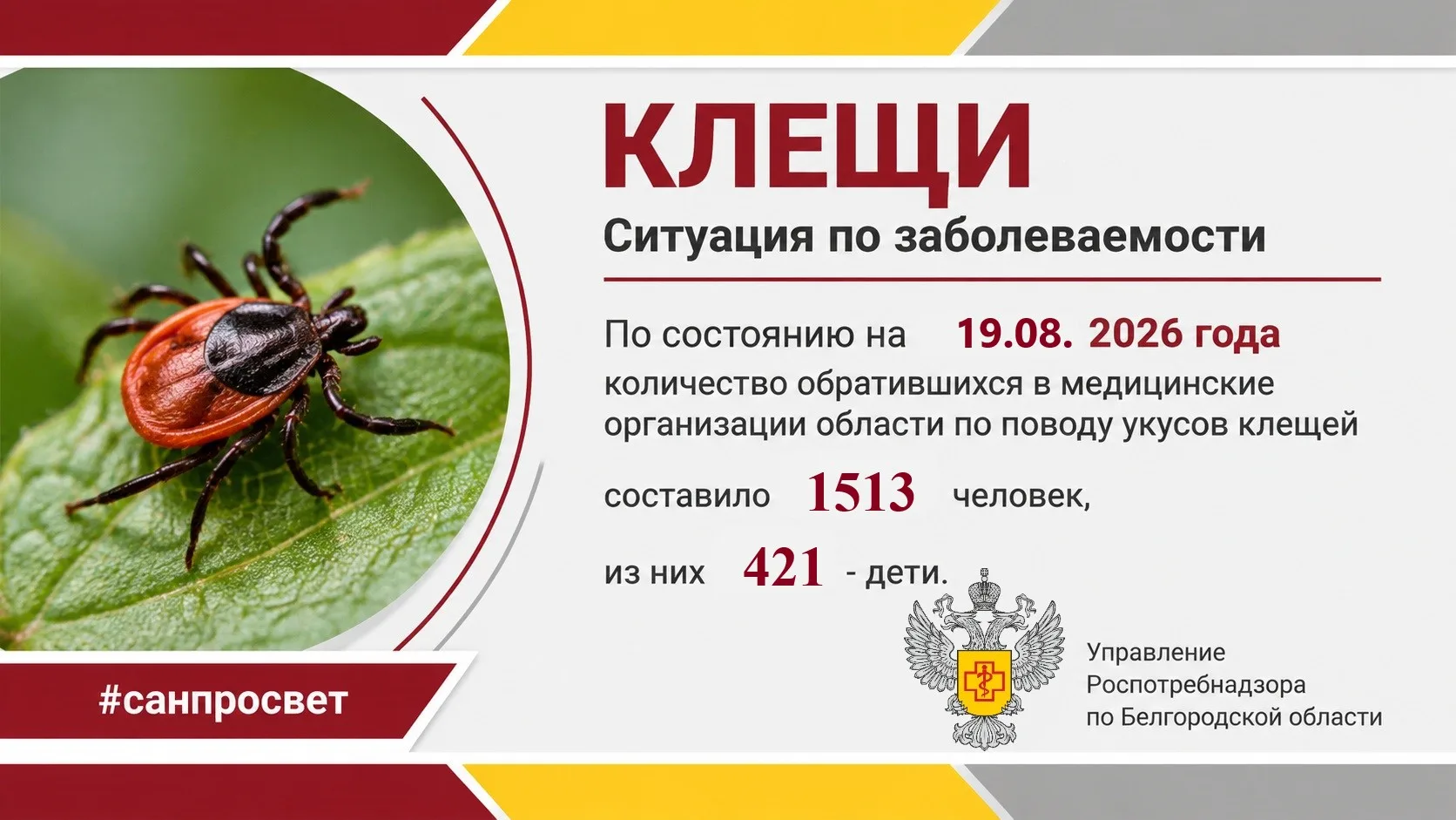 ⚠ Осторожно, клещи!
