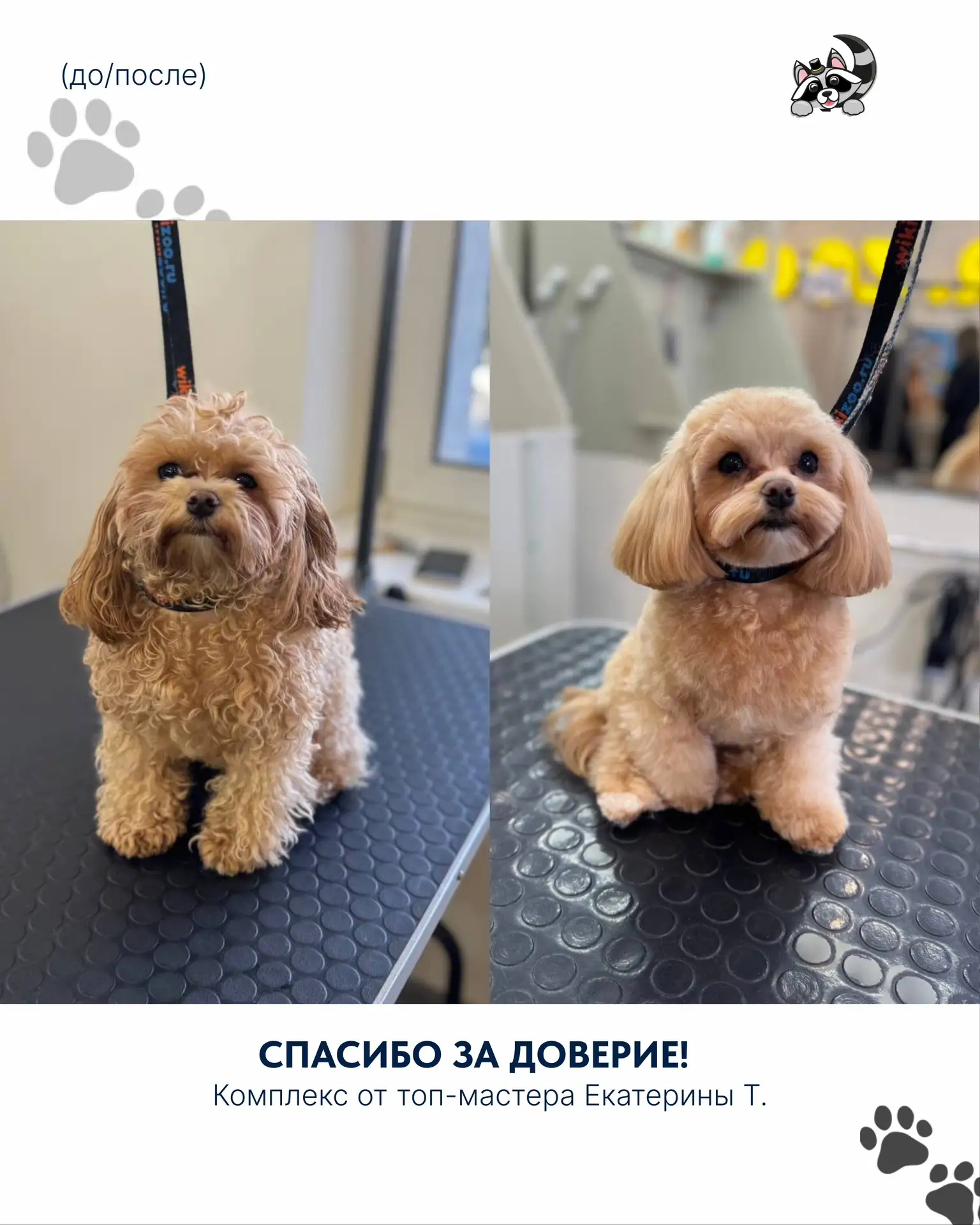 Спасибо, что доверяете нам самое дорогое 🐾