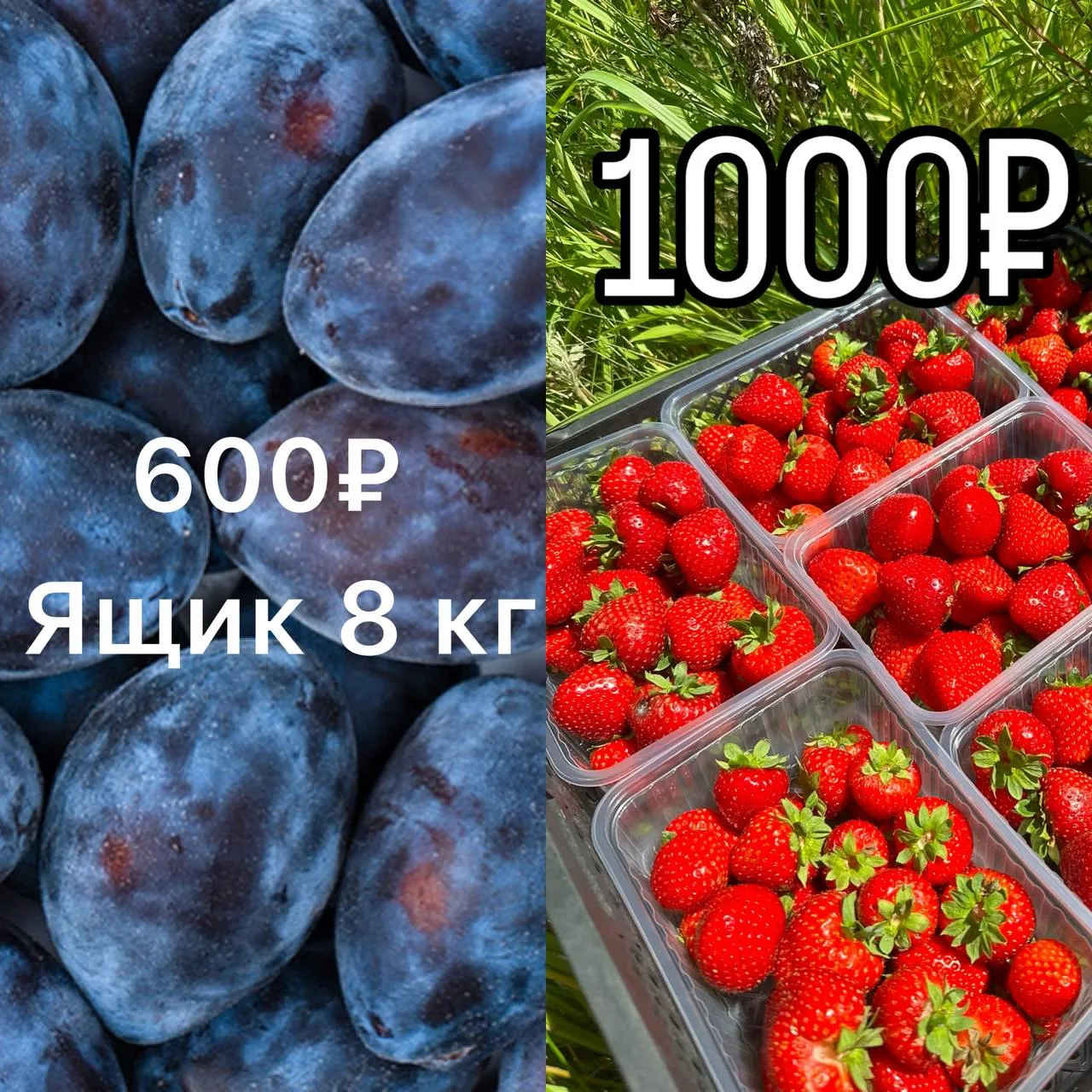 БОЛЬШАЯ АКЦИЯ НА СЛИВЫ УЗБЕКИСТАН 🟣