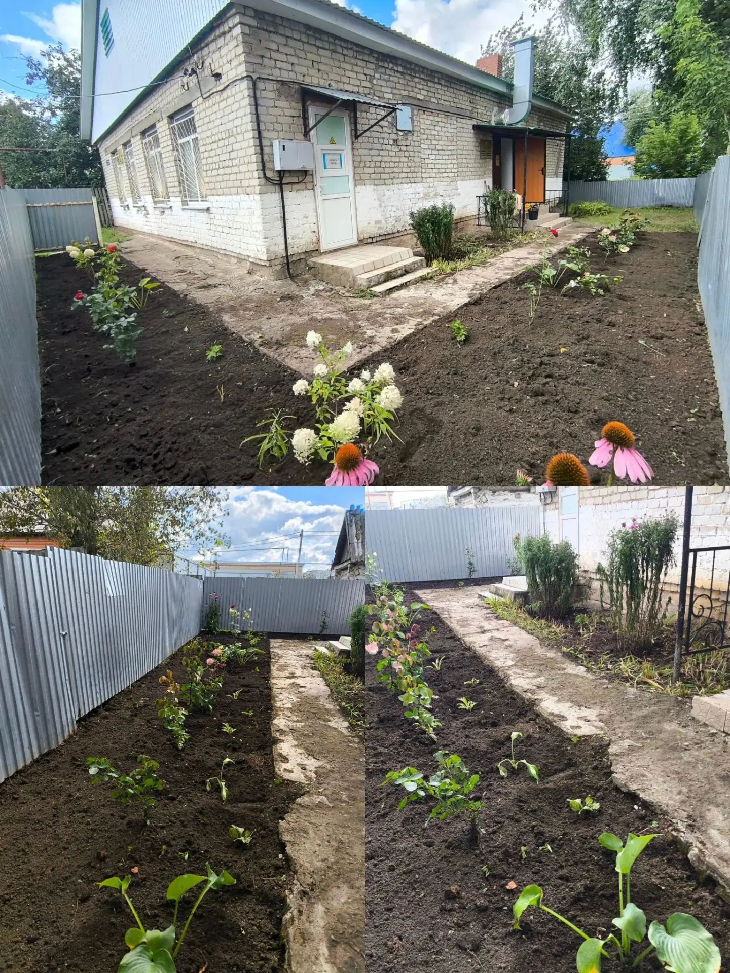 🌿 Когда забота — в каждом деле: сотрудники лаборатории приводят в порядок территорию!