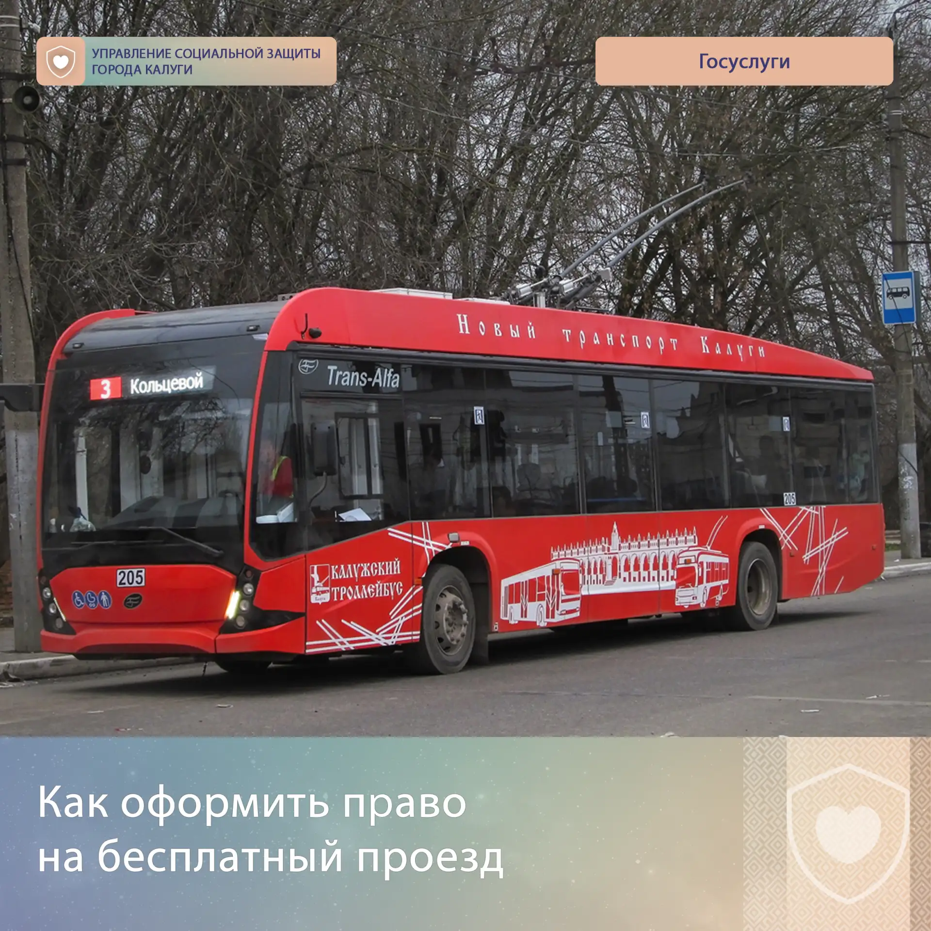 ❓Как оформить право на бесплатный проезд в городском транспорте общего пользования в го...