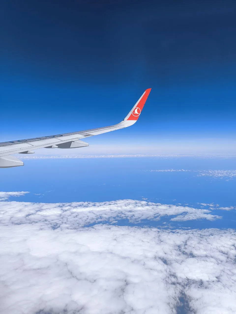 🇹🇷 Последние места в Турцию из Омска