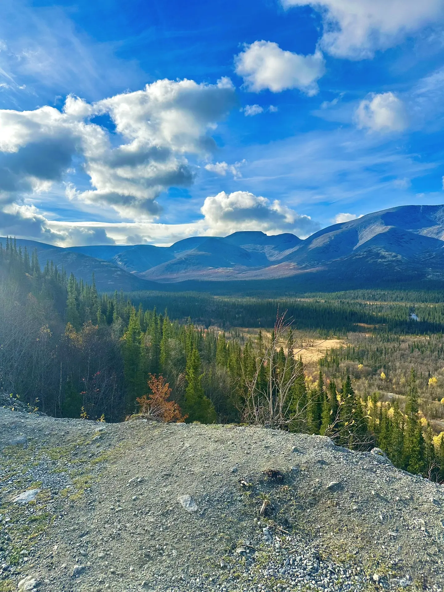 Осенние Хибины — отдельный вид искусства 🍂