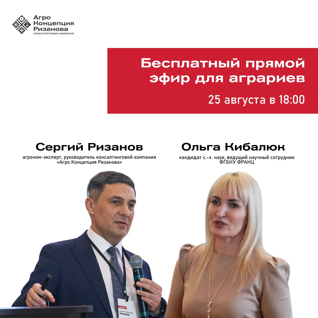 Как повысить урожайность озимой пшеницы и при чём здесь почвопокровные культуры? Обсуди...