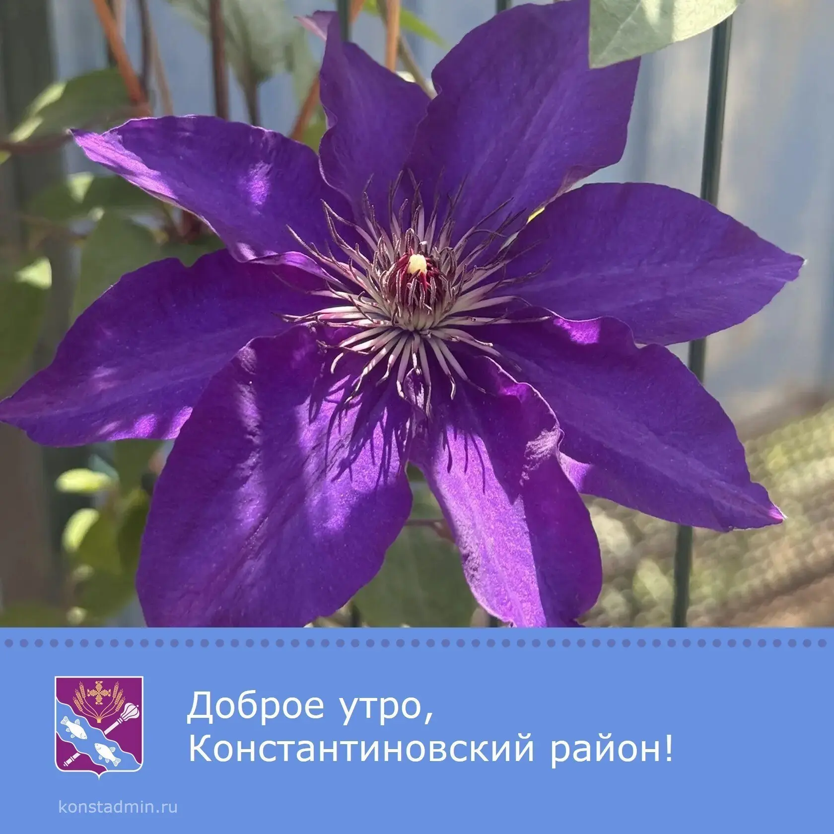 Доброе утро, уважаемые жители Константиновского района!✨