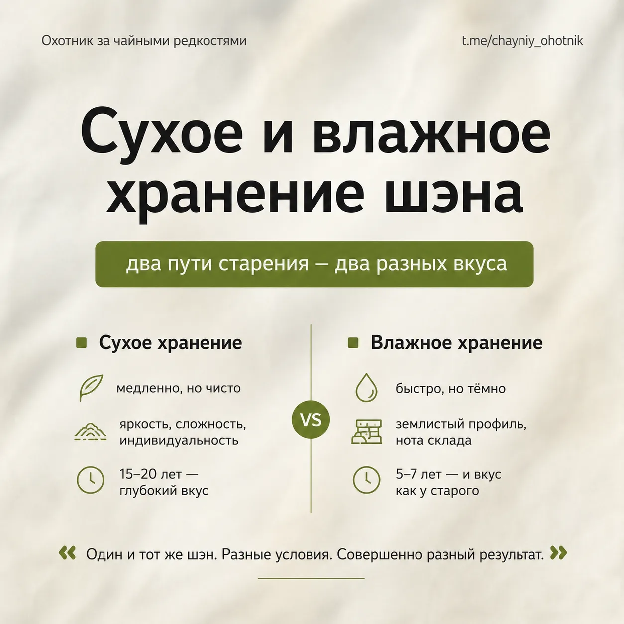 🍵Сухое и влажное хранение — почему один и тот же шэн стареет двумя разными путями
