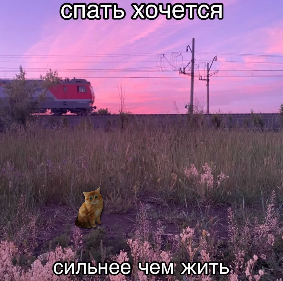 Эх