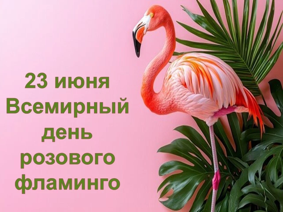 Сегодня, 23 июня, во всем мире отмечается Всемирный день фламинго. Это сравнительно новый экологичес
