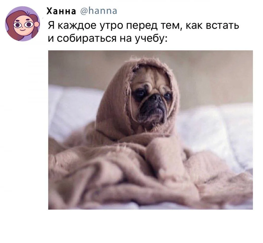 традиционное залипание