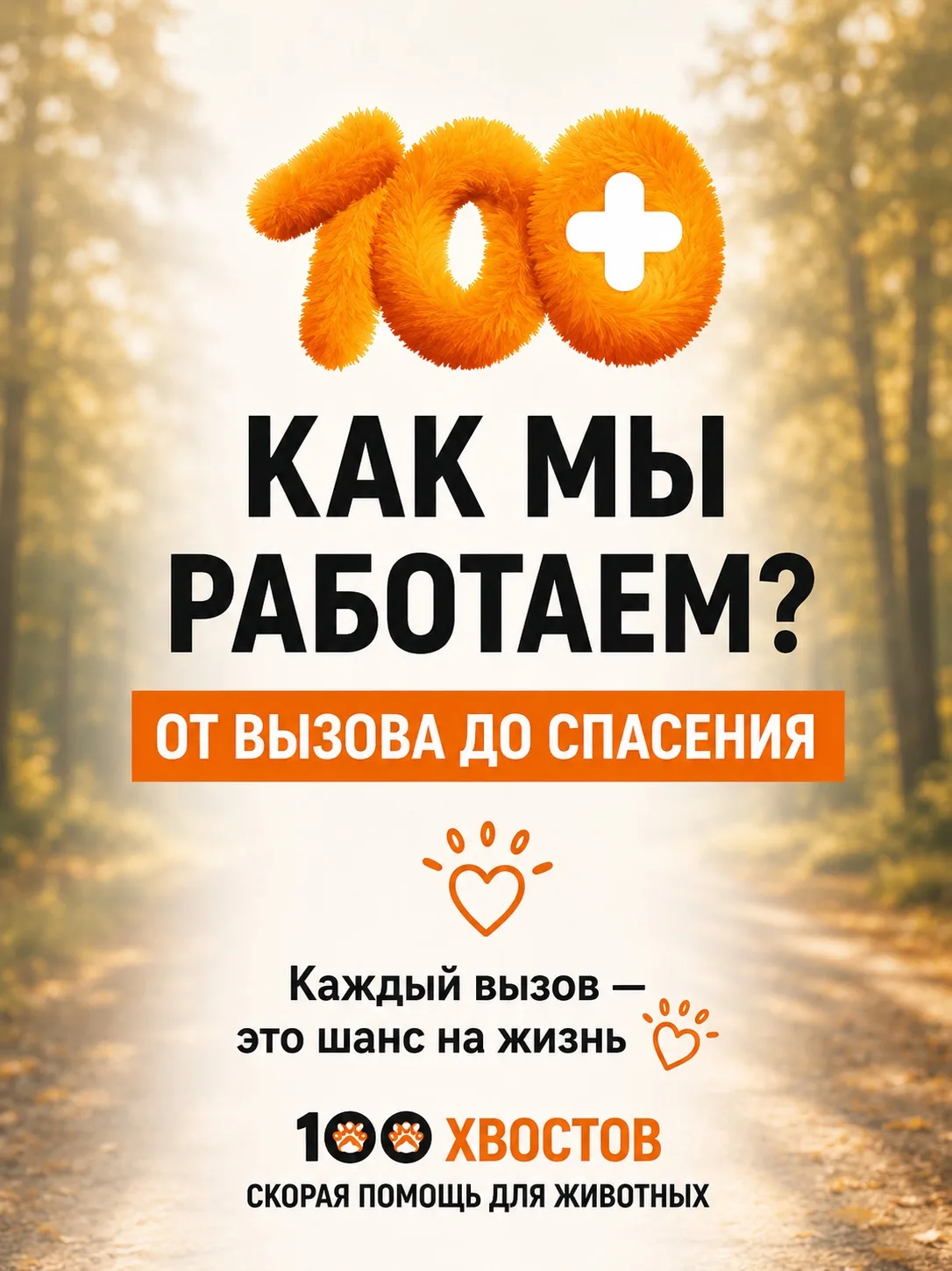🚑 КАК МЫ РАБОТАЕМ: