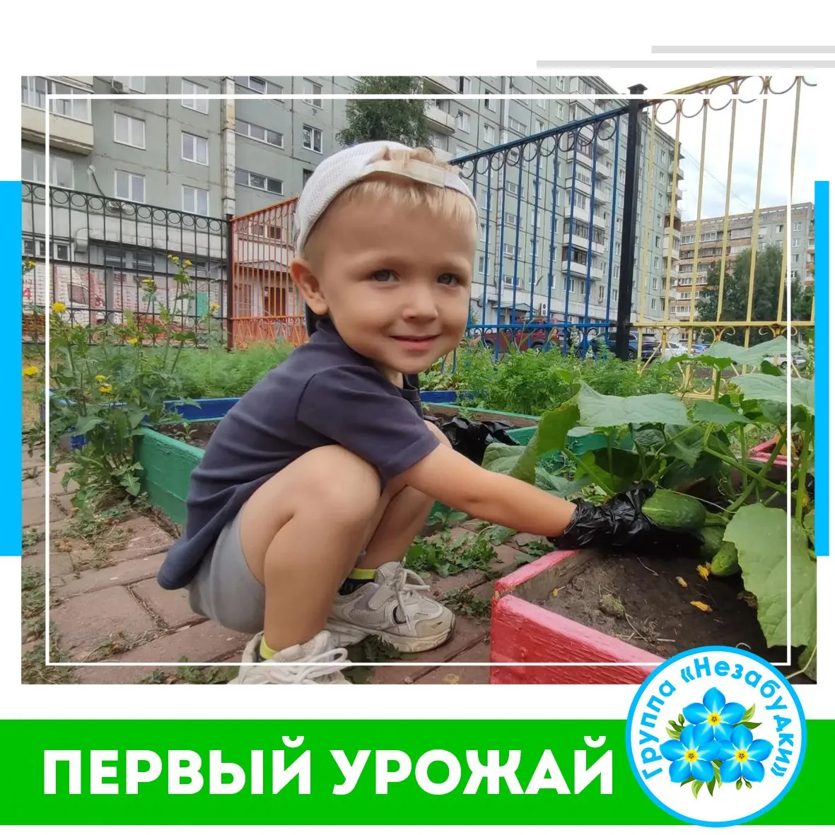 Ура! Наши маленькие садоводы собрали первый урожай!
Юные огородники из группы «Незабудки» сделали на