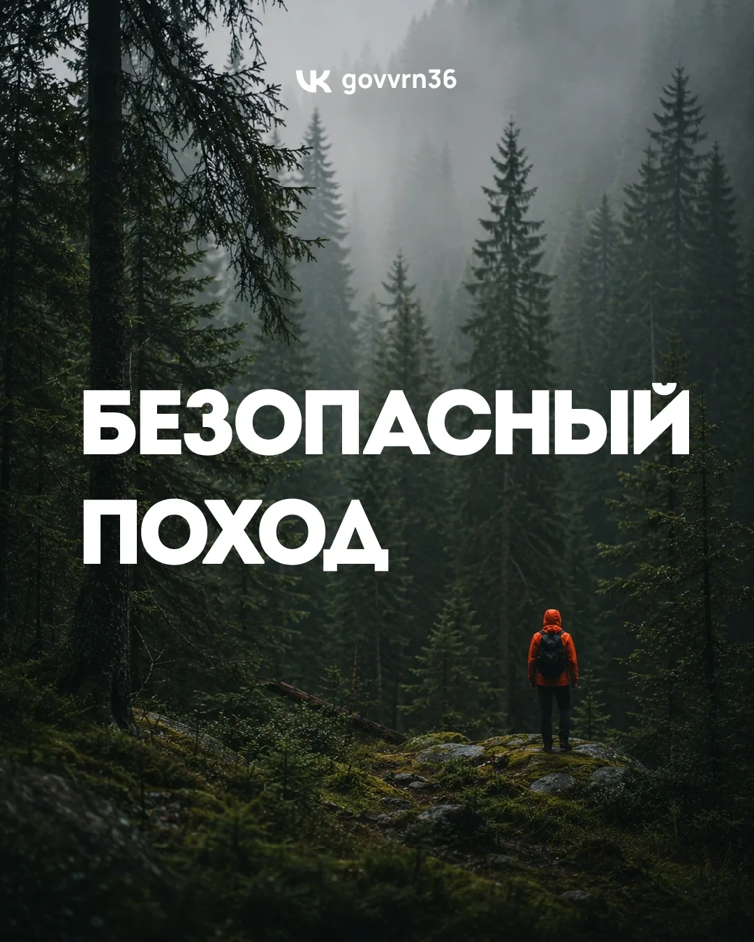Нововоронеж | пос.Колодезный | Воронеж🏡

С началом лета все больше людей выбираются в лес — на прог