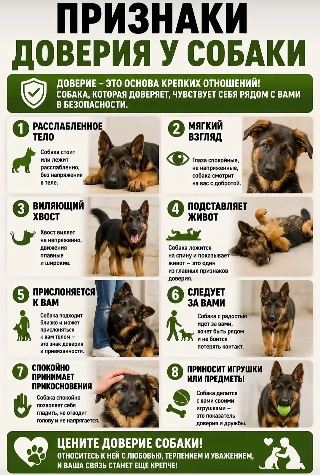🔹Доверие не возникает мгновенно. 
🔹Щенки часто привязываются быстро, иногда с первых дней. 
🔹Взро