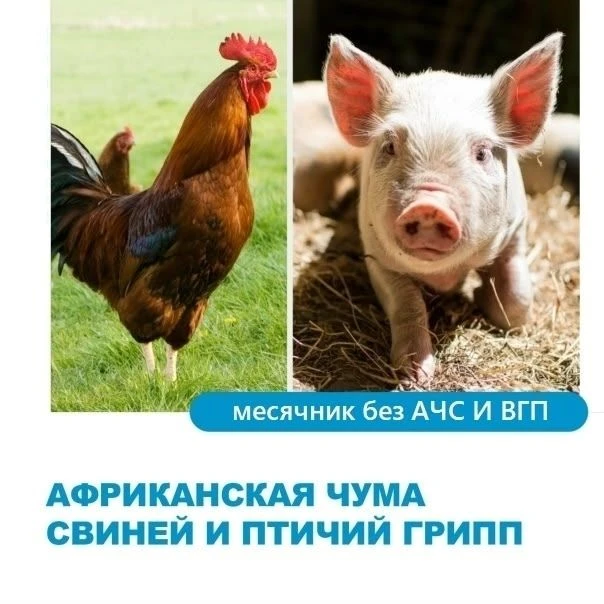 О проведении месячника "Без АЧС и ВГП"

На территории Свердловской области объявлен месячник по обес