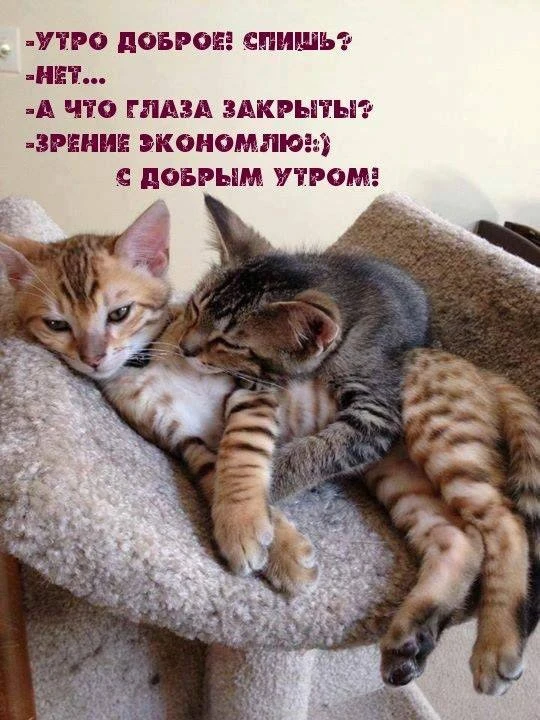 Галерея Открыток