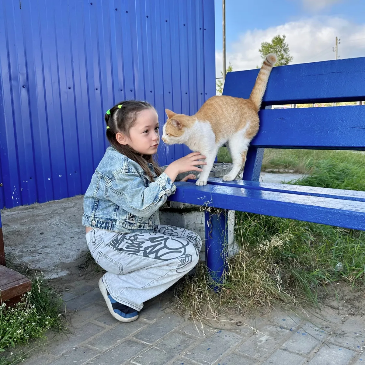 29 августа в приюте для животных СББЖ пройдёт традиционный День открытых дверей